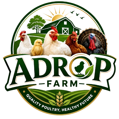 ADROP VENTURE poultry and livestock
